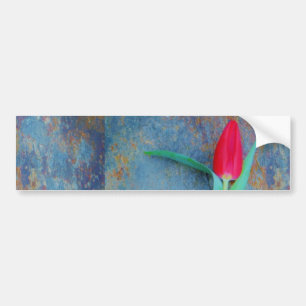 Red Tulip on Blue Grey Slate Bumper Sticker