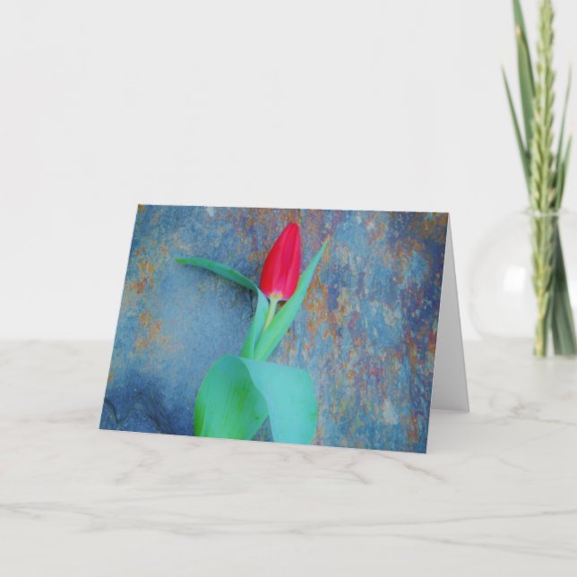 Red Tulip on Blue Grey Slate Holiday Card (Front)