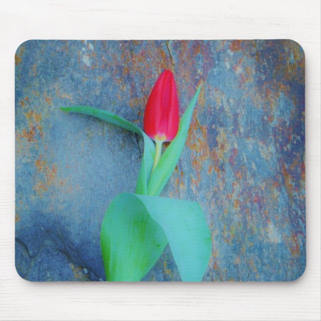 Red Tulip on Blue Grey Slate Mouse Mat (Front)
