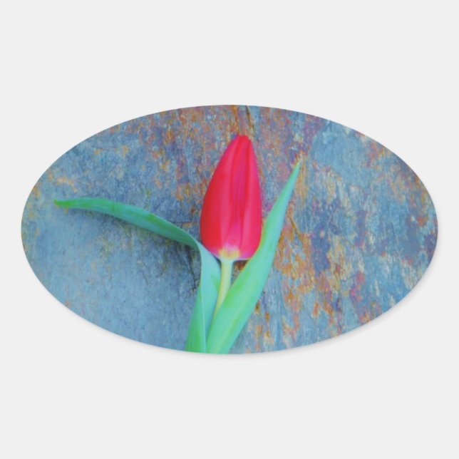 Red Tulip on Blue Grey Slate Oval Sticker (Front)