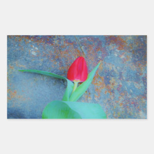 Red Tulip on Blue Grey Slate Rectangular Sticker