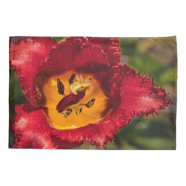 Red tulip pillowcase (Back)