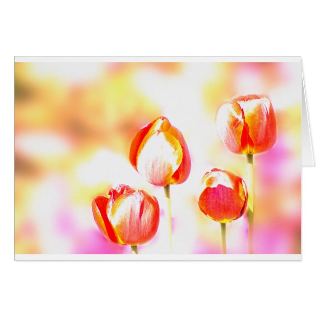 Red Tulip Quartet (Front Horizontal)
