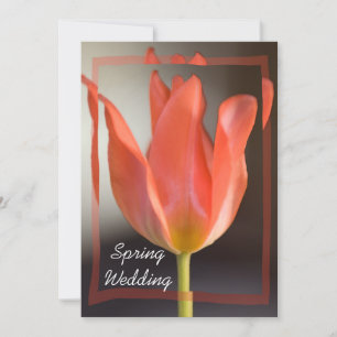 Red Tulip Spring Wedding Announcement