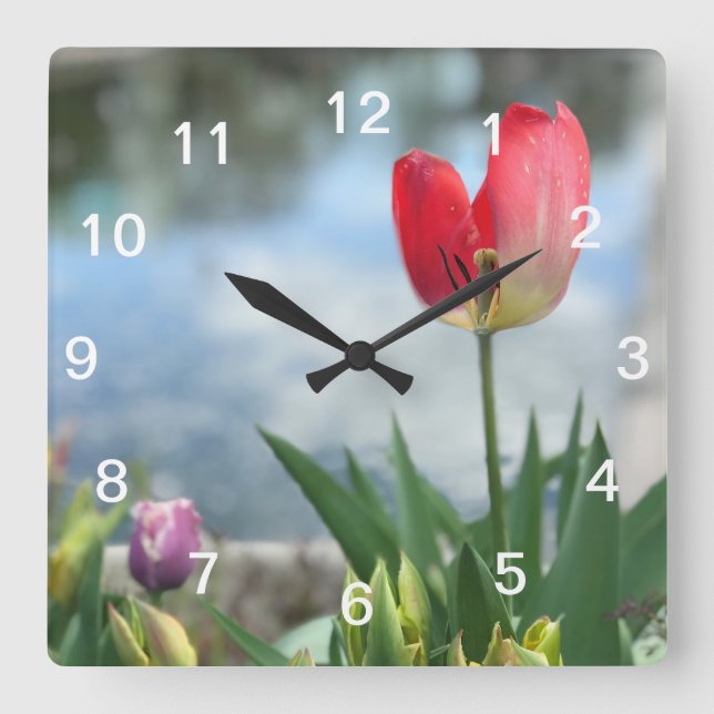 Red Tulip Wall Clock (Front)