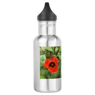 Red Tulip Water Bottele 532 Ml Water Bottle