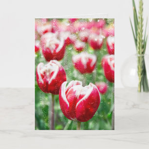 red tulip with raindrops on glass card