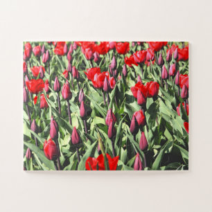 Red tulips 30-pc jigsaw puzzle