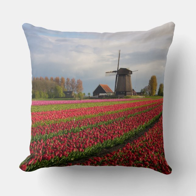Red tulips and a windmill cushion (Front)