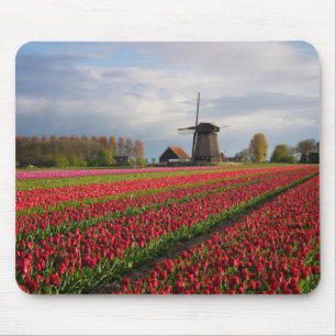 Red tulips and a windmill mouse mat