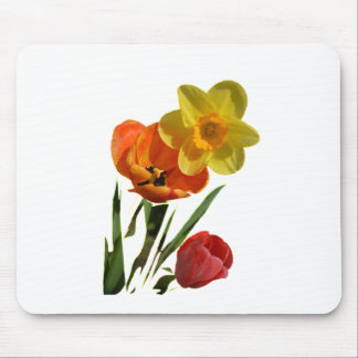 Red tulips and yellow daffodil flowers mouse mat