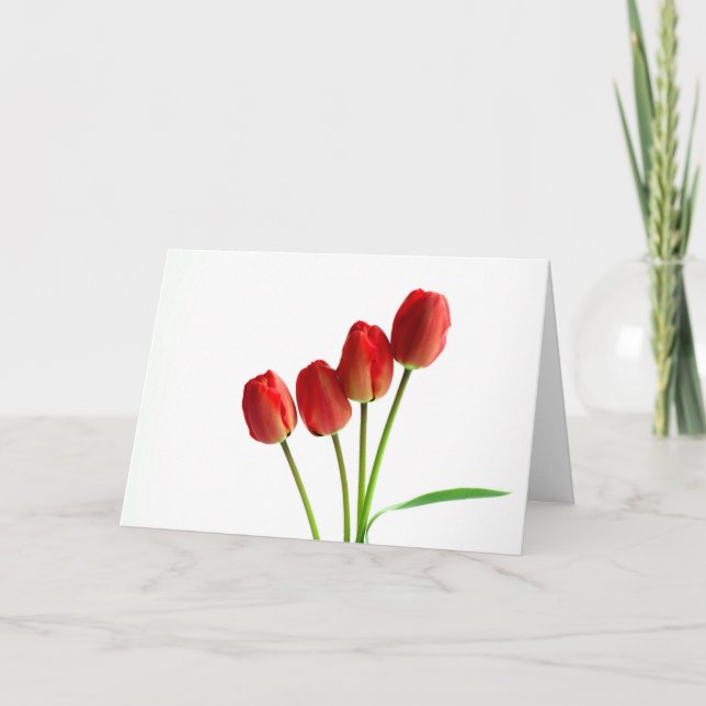 Red tulips blank greetings card (Front)