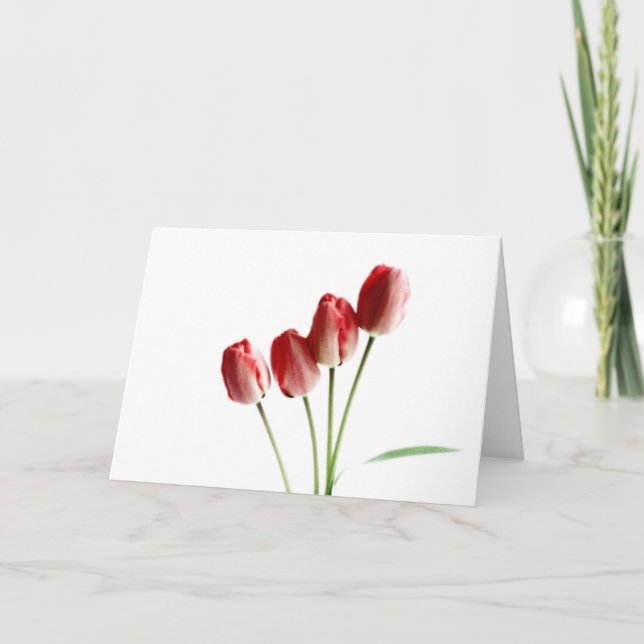 Red tulips blank greetings card (Front)