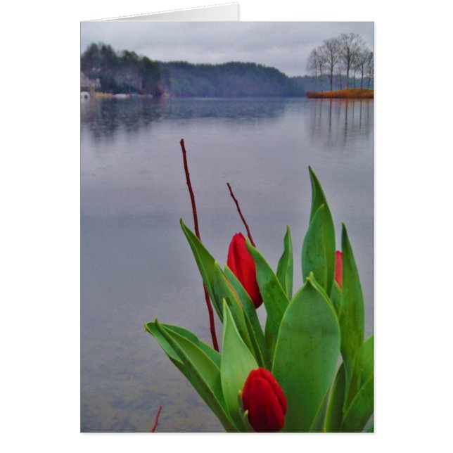 Red Tulips Blue Lake Arrowhead water (Front)