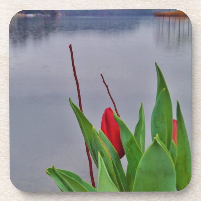 Red Tulips Blue Lake Arrowhead water Coaster (Front)