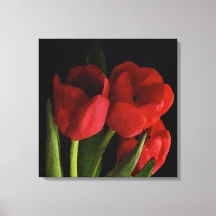 Red Tulips Canvas Print