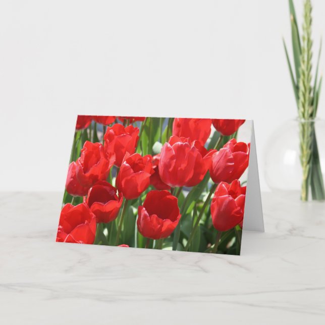 Red tulips card (Front)
