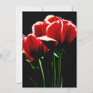 Red Tulips Card