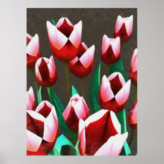 Red Tulips Floral Abstract  Poster