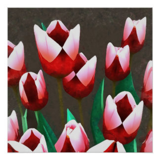 Red Tulips Floral Abstract  Poster