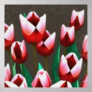 Red Tulips Floral Abstract  Poster