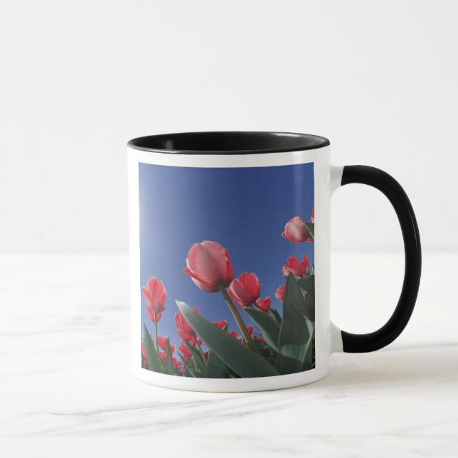 Red tulips from very low angle, Cincinnati, Mug (Right)