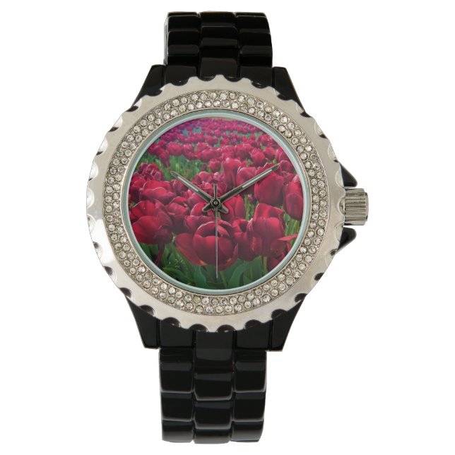 Red Tulips in a Field, Oregon Watch (Front)