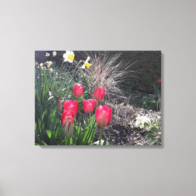 Red tulips in the garden canvas print (Front)