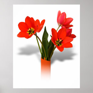 Red Tulips in Vase Poster