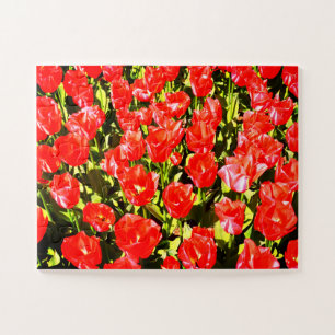 Red tulips jigsaw puzzle