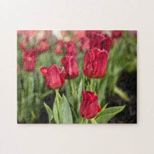 Red Tulips Jigsaw Puzzle