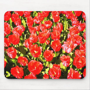 Red tulips mouse mat