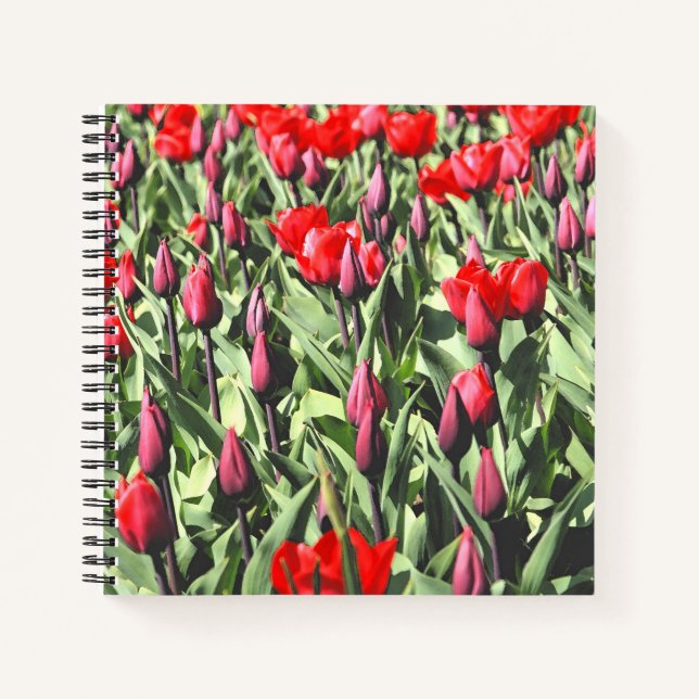 Red tulips notebook (Front)
