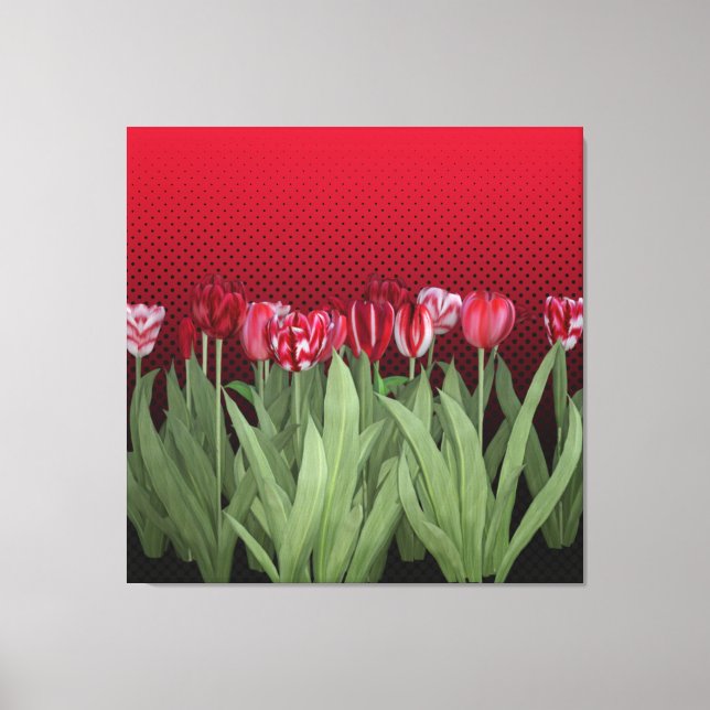 Red Tulips on Gradient Canvas Print (Front)