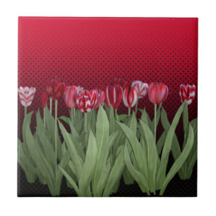 Red Tulips on Gradient Tile