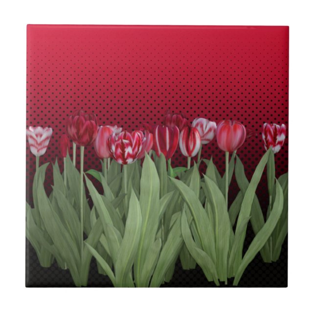 Red Tulips on Gradient Tile (Front)