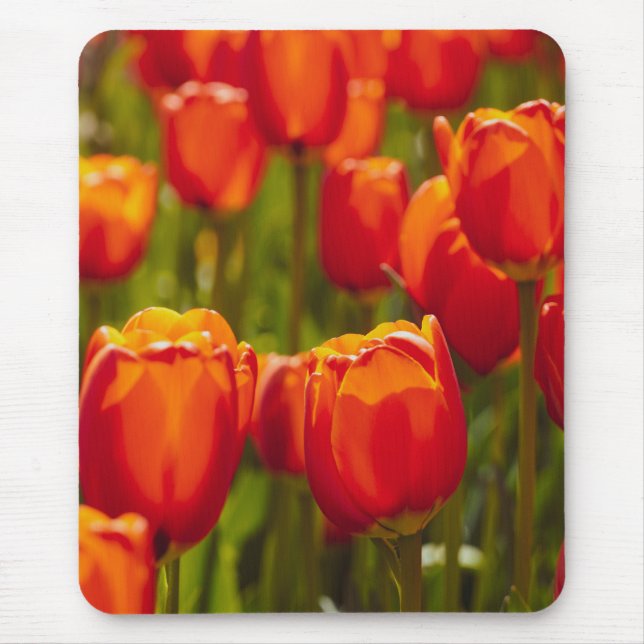 Red tulips photographic print. mouse mat (Front)