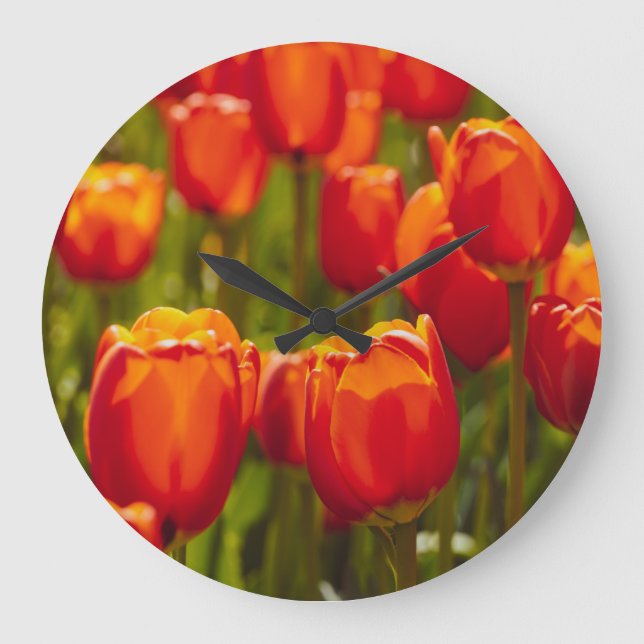 Red tulips photographic print. photo print large clock (Front)