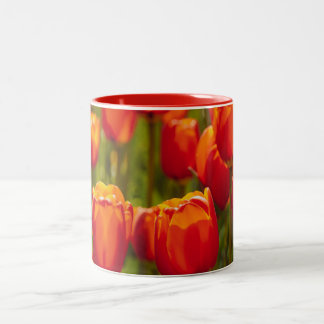 Red tulips photographic print. Two-Tone coffee mug