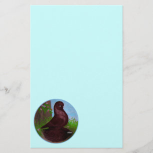 Red Tumbler Pigeon Circle