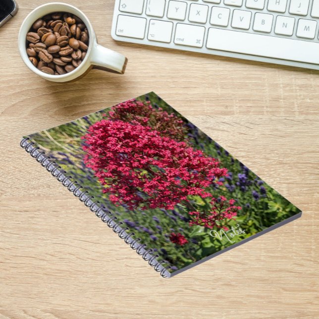 Red Valerian Flowers Floral Notebook (In Situ)