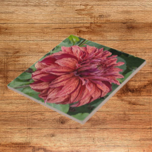 Red Variegated Dahlia Bloom Floral Tile