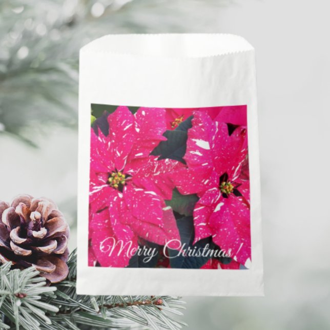 Red Variegated Poinsettias Christmas Floral Favour Bags (In Situ Holiday)