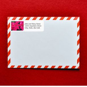 Red Variegated Poinsettias Floral Return Address