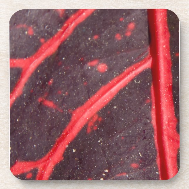 Red Veined Hawaiian Leaf 3 Coaster (Front)