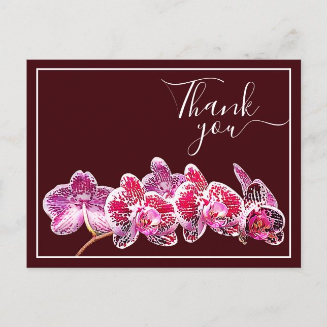 Red Veined Orchid Against Wine Backdrop Thank You Postcard (Front)