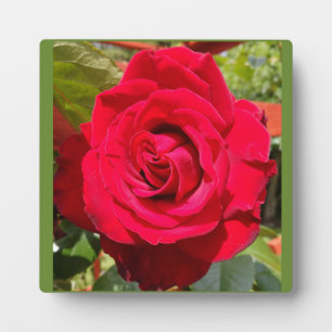 Red Velvet Plaque