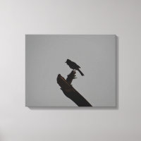 Red-vented Bulbul in Silhouette Stylish Photograph