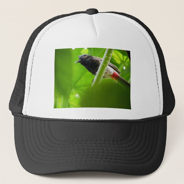 Red-vented Bulbul (Pycnonotus cafer) Trucker Hat (Front)