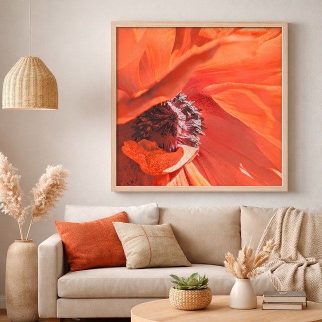 Red Vibrant Poppy Flower Photography by Meggidoo Poster (Red Poppy Flower Home Decor )